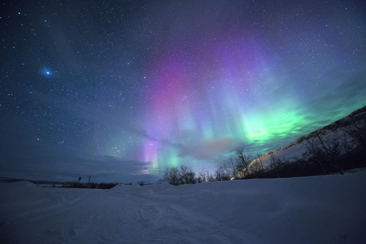 Alaska car insurance requirements remote highway through Alaska mountains and wilderness