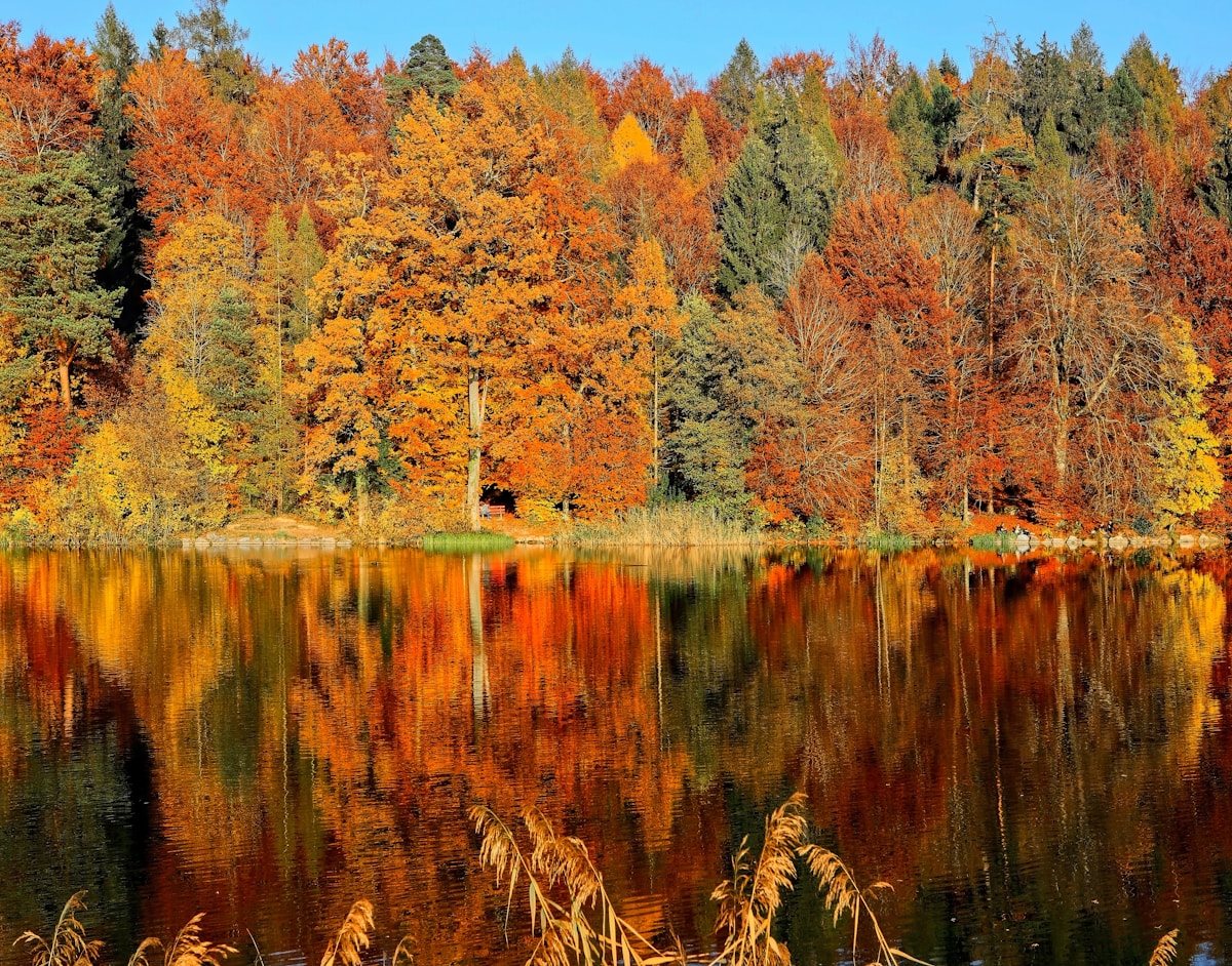 Connecticut car insurance requirements highway through Connecticut in autumn