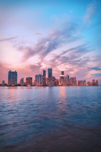 Florida car insurance requirements state guide highway palm trees