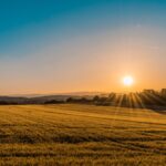 Kansas car insurance requirements open highway through Kansas wheat fields