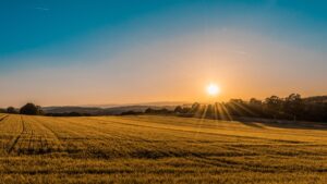 Kansas car insurance requirements open highway through Kansas wheat fields