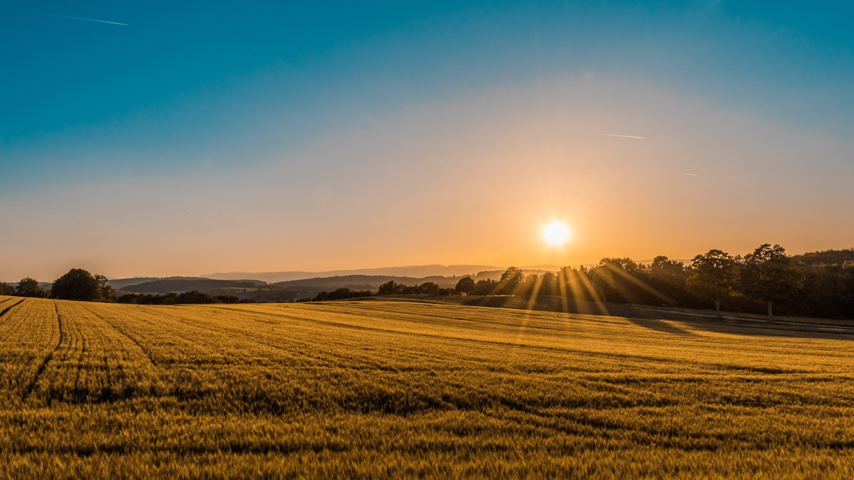 Kansas car insurance requirements open highway through Kansas wheat fields