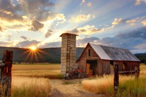Kentucky car insurance requirements rural highway through Kentucky bluegrass countryside