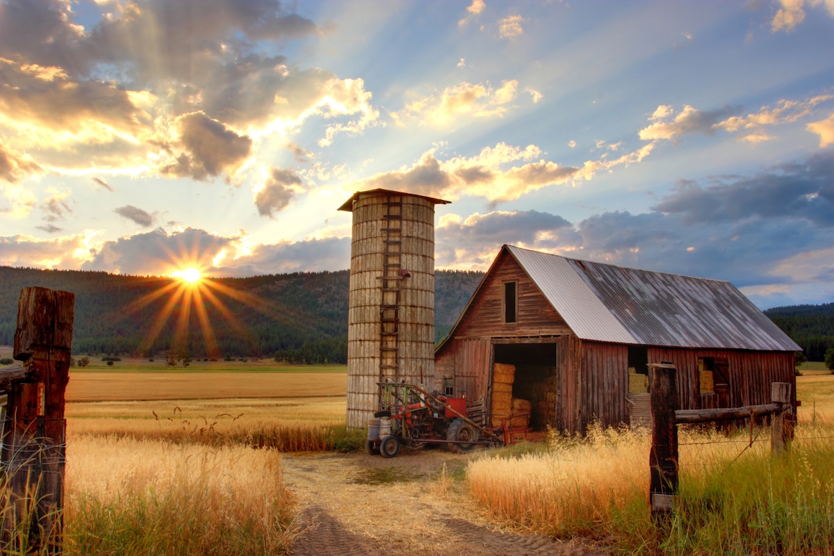 Kentucky car insurance requirements rural highway through Kentucky bluegrass countryside